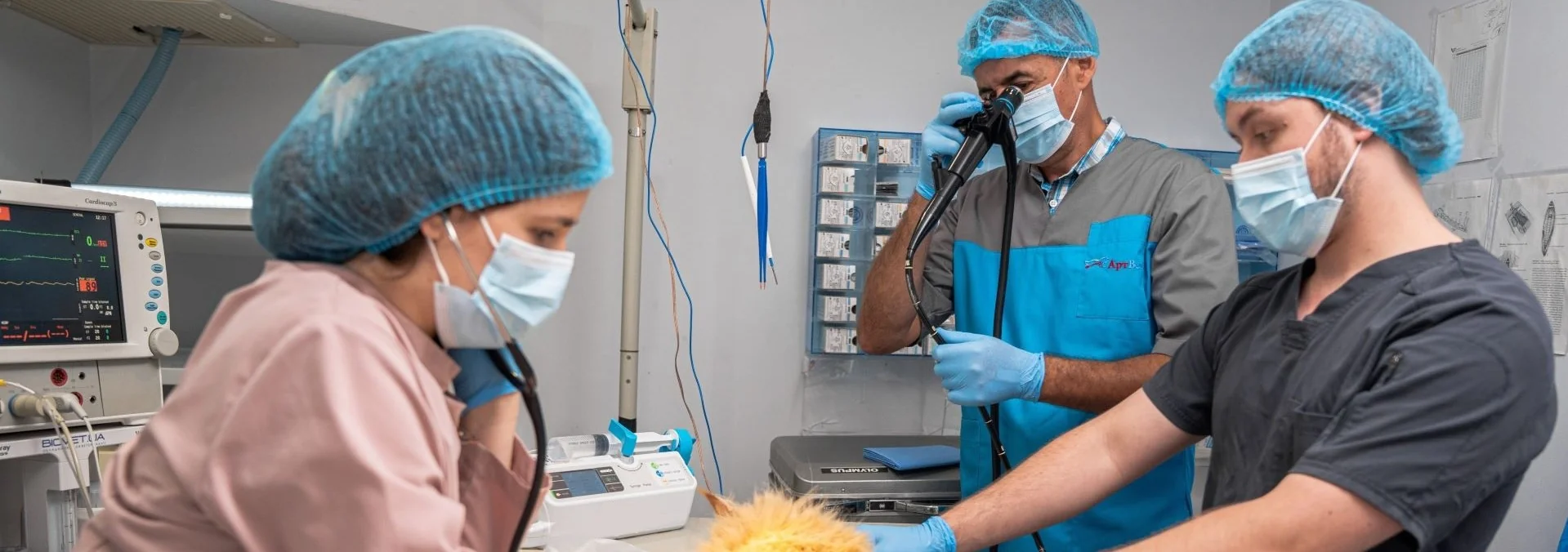 АртВет - провідна мережа багатопрофільних ветеринарних клінік у м. Київ